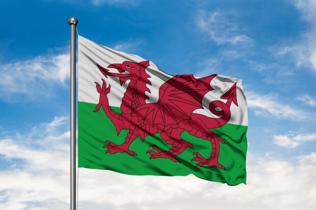 Flag of Wales waving against a cloudy blue sky.